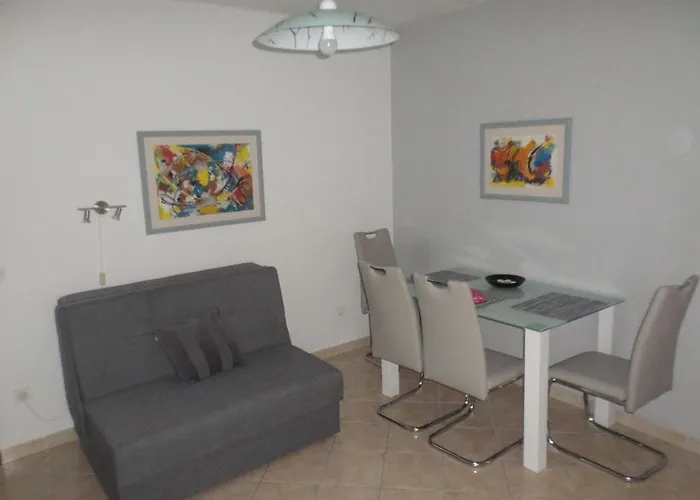 Gordana 普利莫顿